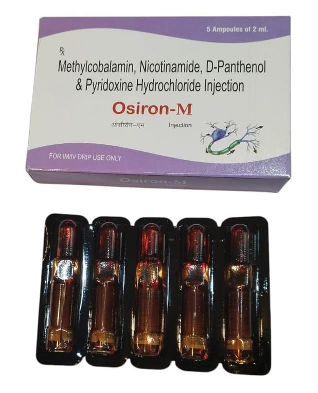 WhatsApp Image 2024-12-25 at 4.11.00 PM